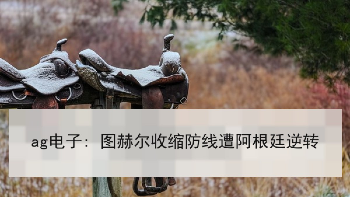 ag电子: 图赫尔收缩防线遭阿根廷逆转 ag电子: 图赫尔收缩防线遭阿根廷逆转